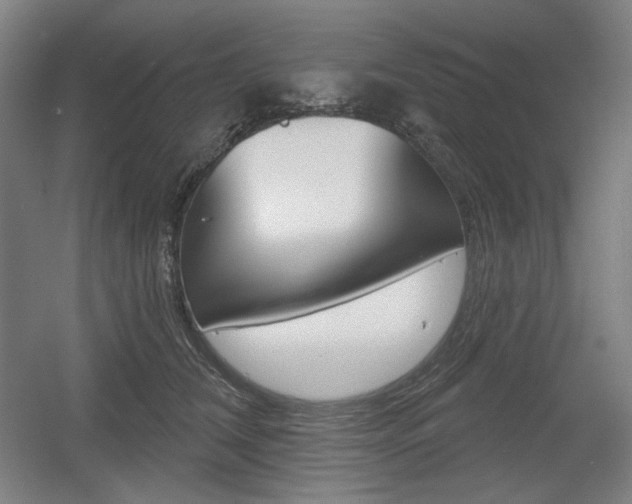 X0000055970612200508190705