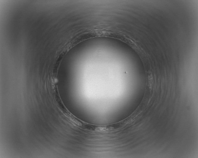 X0000055970613200508190705