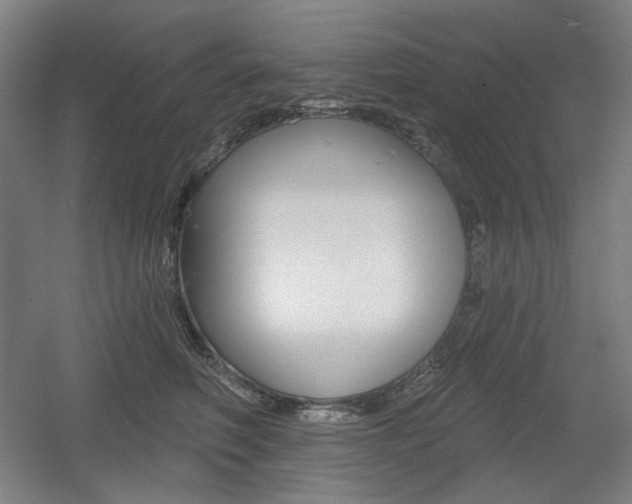X0000055970614200508190705
