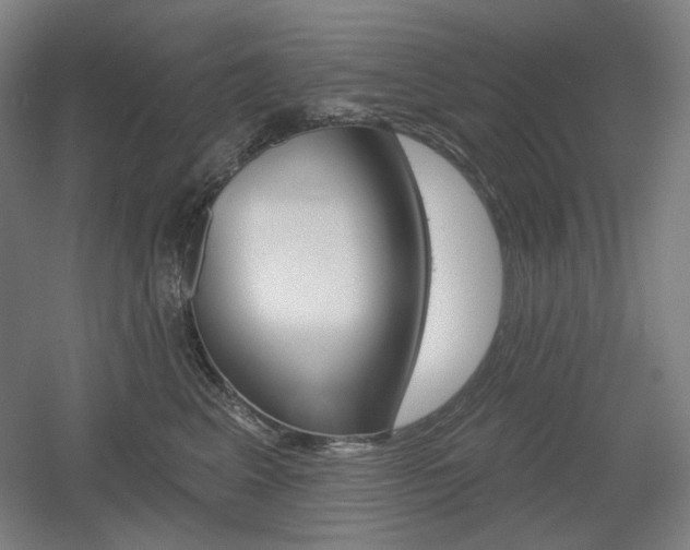 X0000055970617200508190705