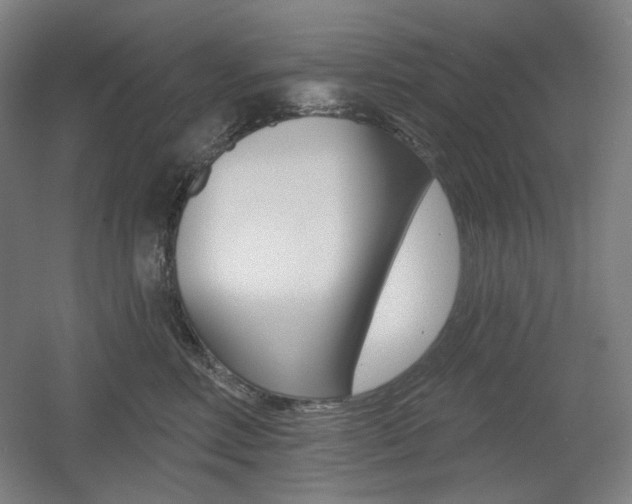 X0000055970618200508190705