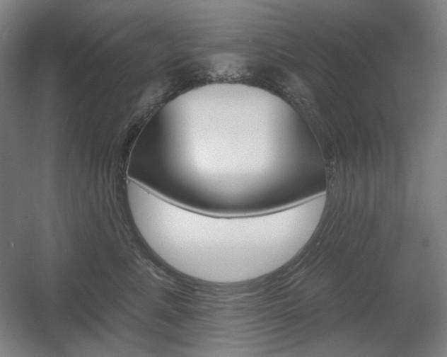 X0000055970619200508190705