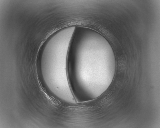X0000055970626200508190704