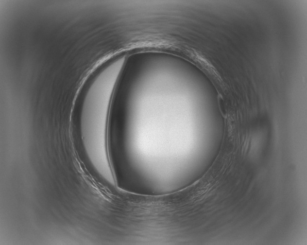 X0000055970628200508190704