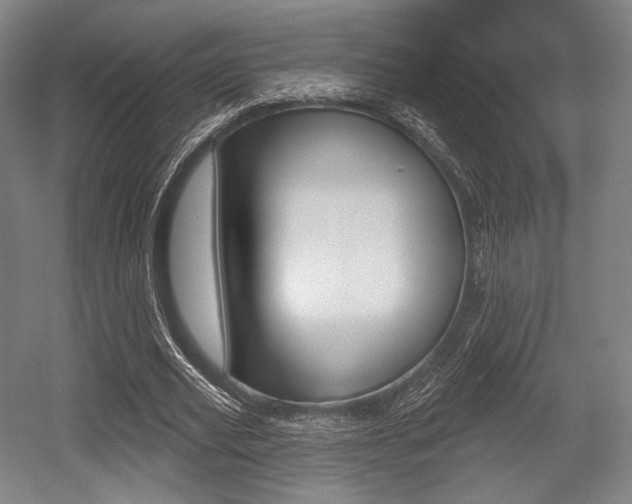 X0000055970629200508190704