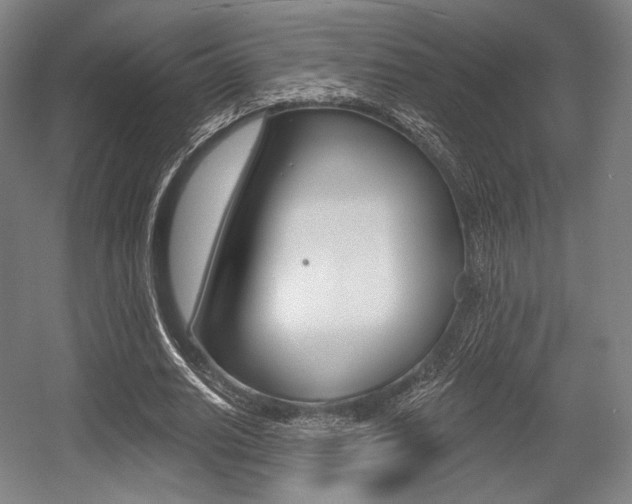 X0000055970630200508190704