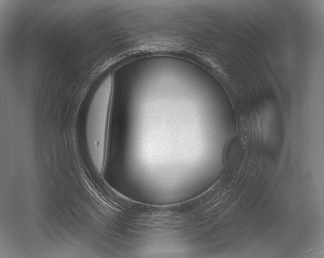 X0000055970631200508190704