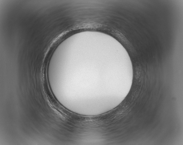 X0000055970632200508190704