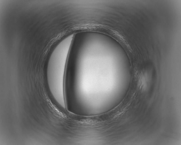X0000055970633200508190704