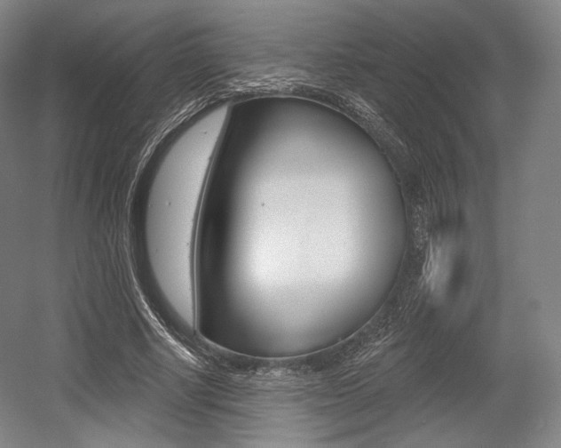 X0000055970634200508190704