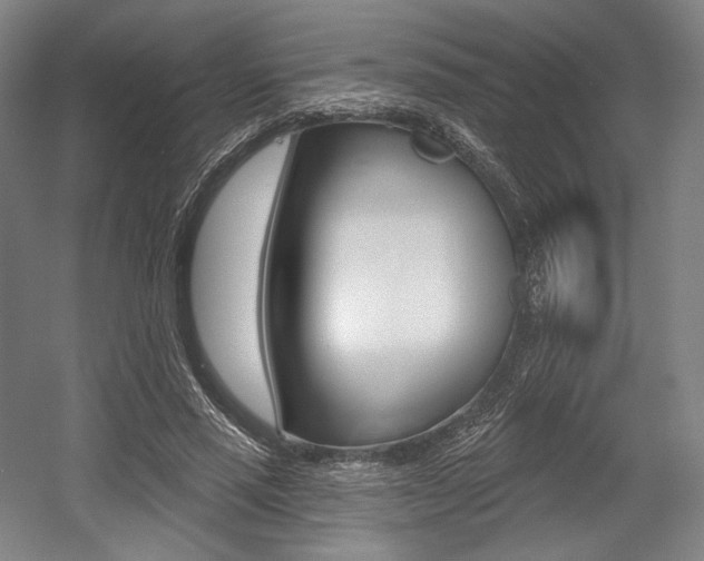 X0000055970637200508190704