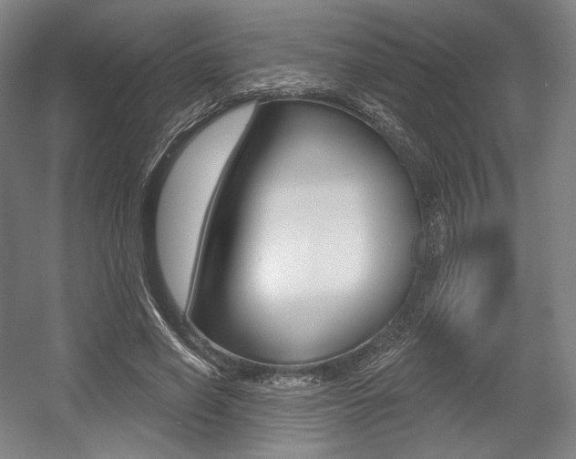 X0000055970638200508190704