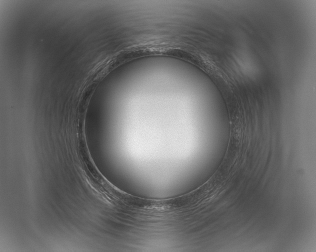 X0000055970639200508190704