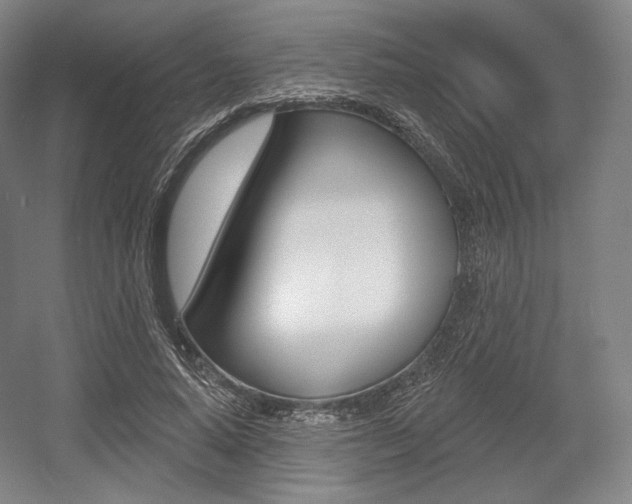 X0000055970640200508190704