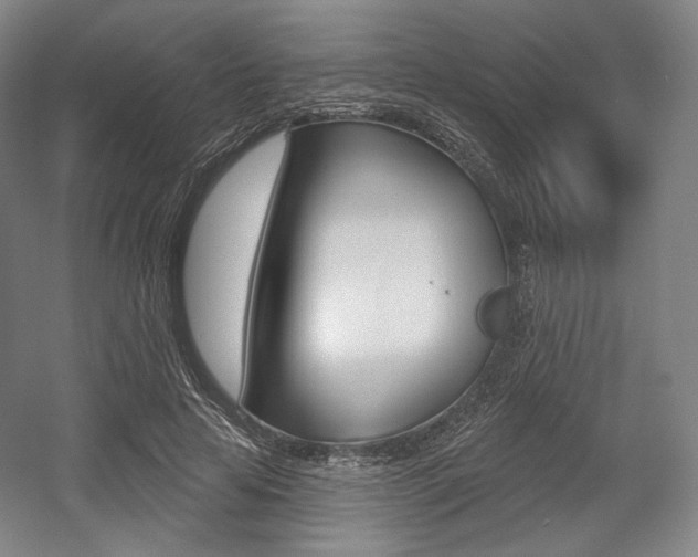 X0000055970641200508190704
