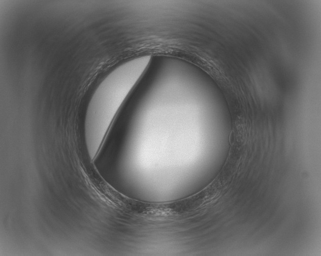 X0000055970642200508190704