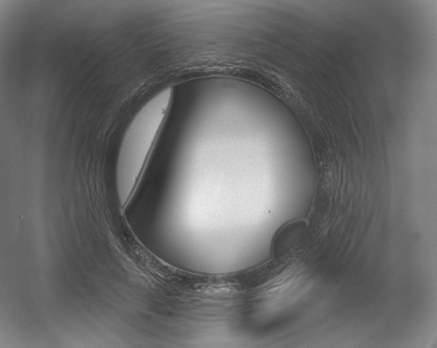 X0000055970643200508190704
