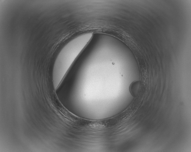 X0000055970644200508190704