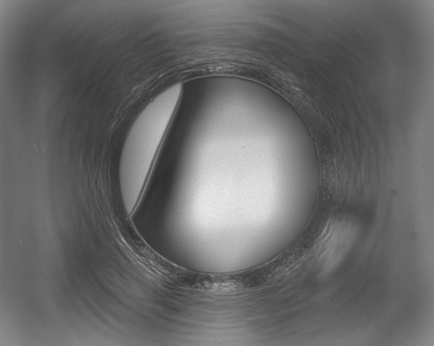 X0000055970645200508190704