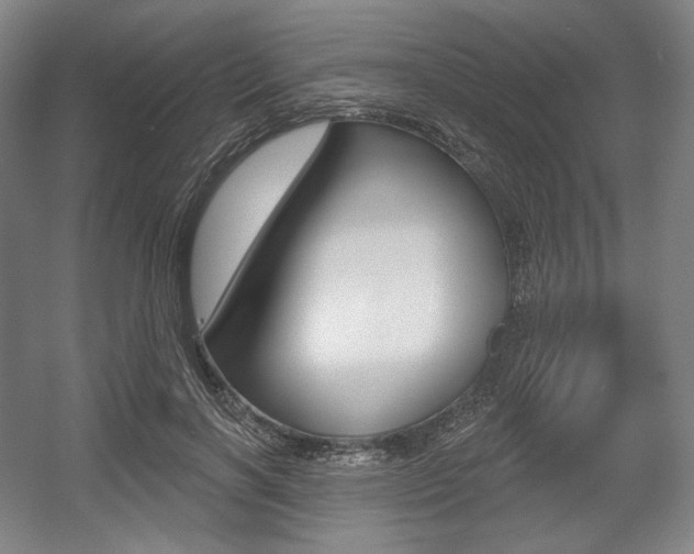 X0000055970646200508190704