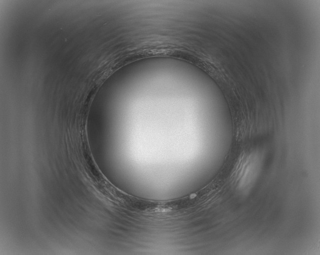 X0000055970647200508190704