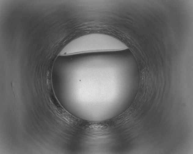 X0000055970650200508190704