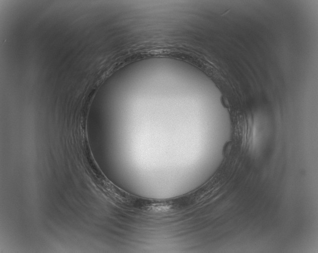 X0000055970651200508190704