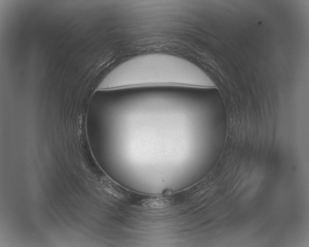 X0000055970652200508190704