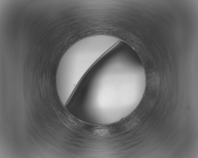 X0000055970653200508190704