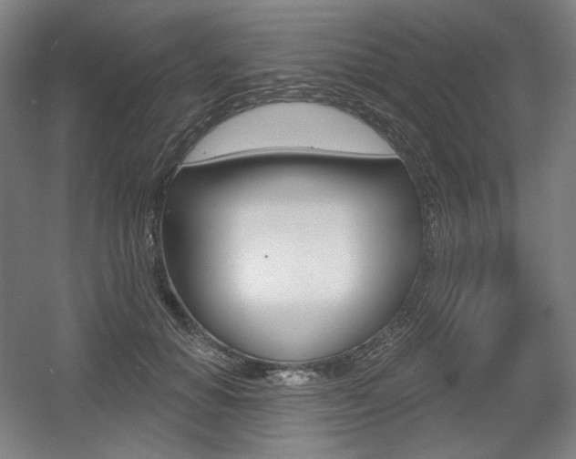 X0000055970654200508190704
