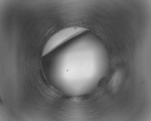 X0000055970656200508190704