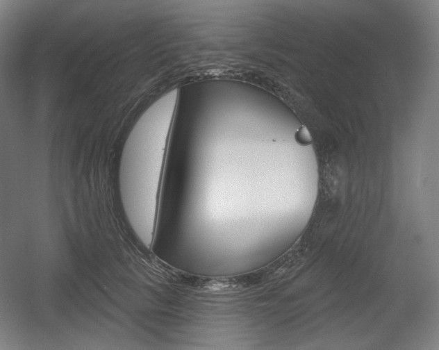 X0000055970657200508190704