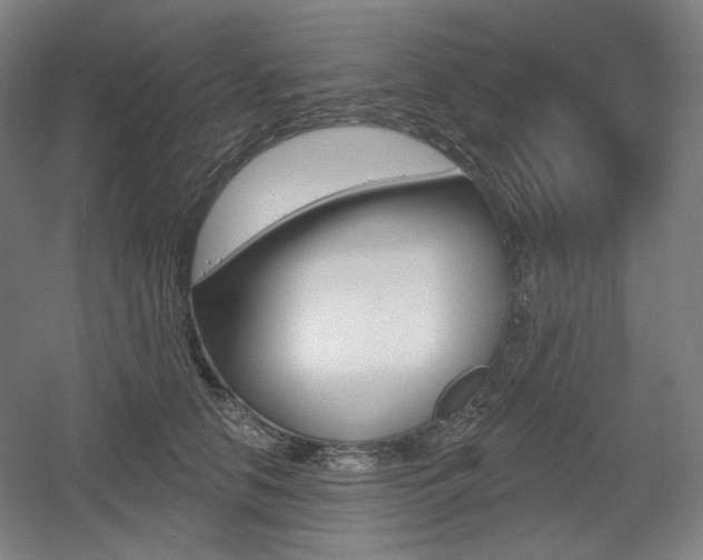 X0000055970658200508190704