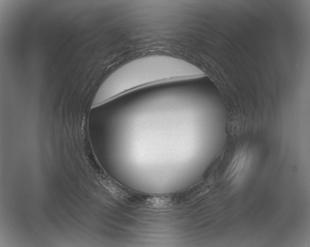 X0000055970660200508190704