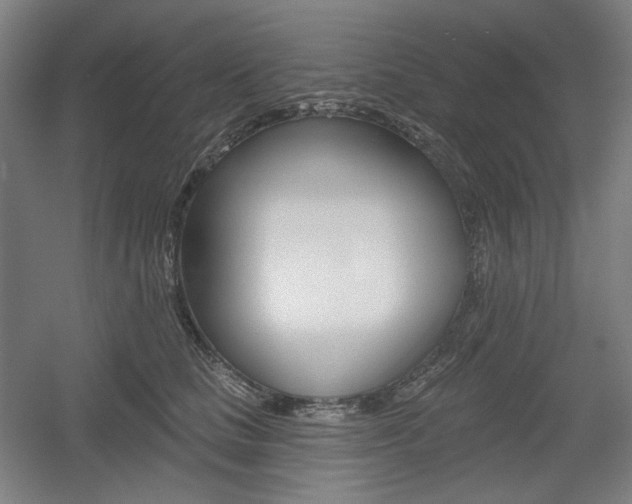 X0000055970661200508190704