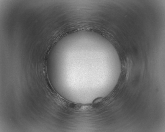 X0000055970663200508190705