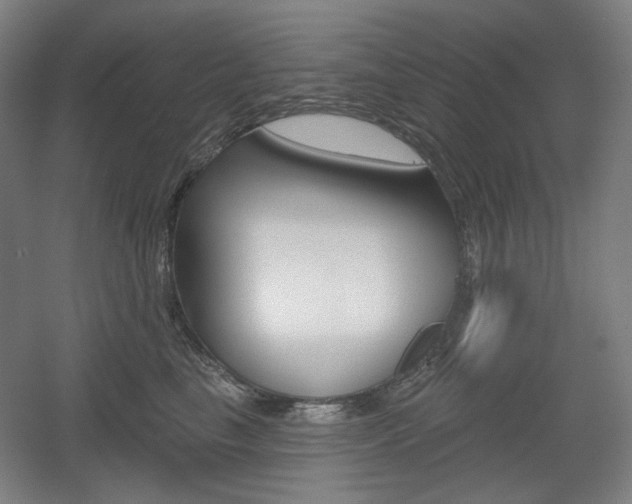 X0000055970665200508190705