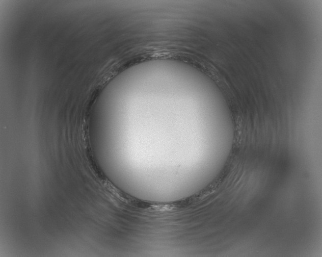 X0000055970667200508190705