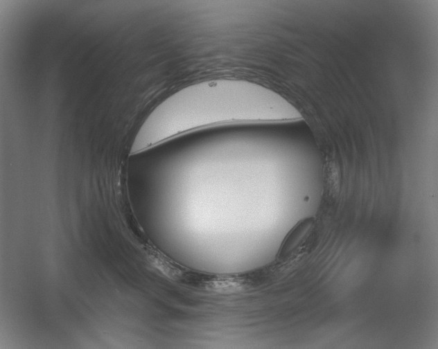 X0000055970668200508190705