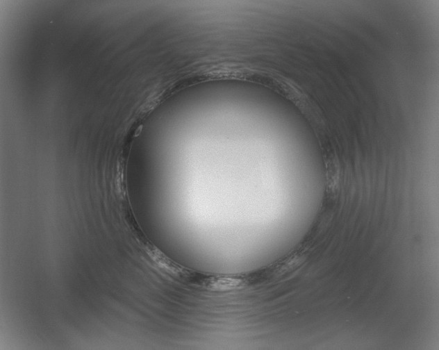 X0000055970669200508190705