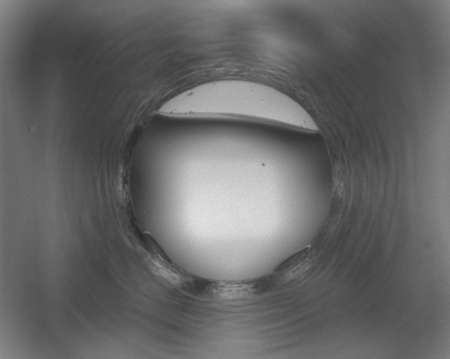 X0000055970670200508190705