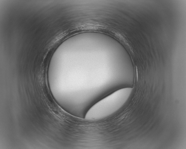 X0000055970675200508190704
