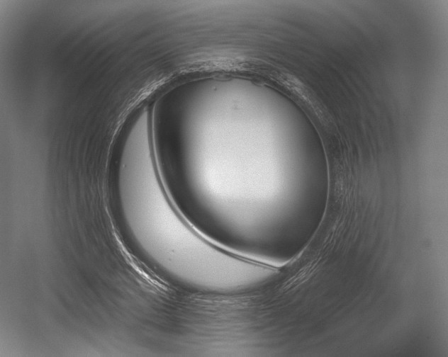 X0000055970677200508190704