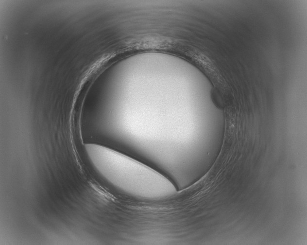 X0000055970678200508190704