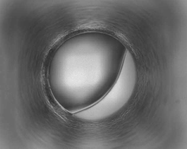 X0000055970680200508190704