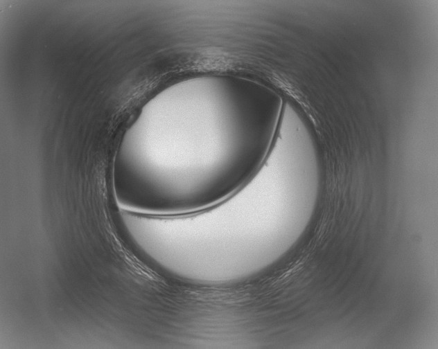 X0000055970681200508190704