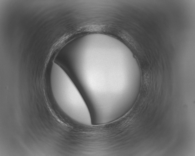 X0000055970682200508190704