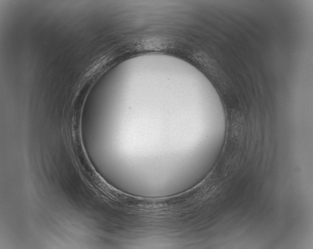 X0000055970683200508190704