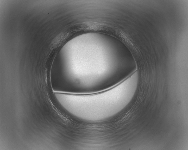 X0000055970685200508190704