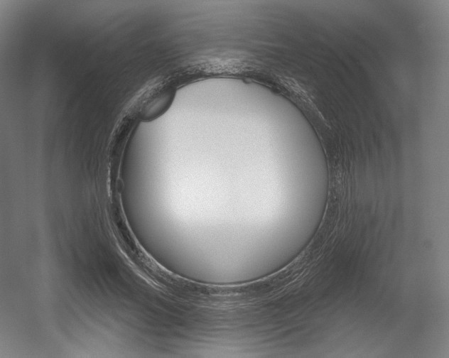 X0000055970686200508190704
